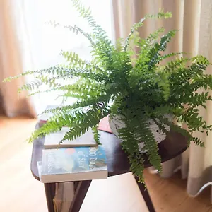 Apartamento Santa Maria By Heart Of Funchal (Madeira)